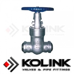 Pressure Seal Gate Valve BW End