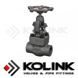 Forged Steel Globe Valve (SW/Threaded End)