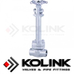 Forged Steel Cryogenic Globe Valve