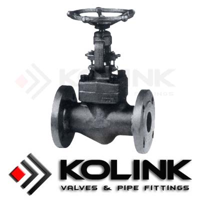 Forged Steel Globe Valve (Flanged End)