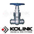 Pressure Seal Gate Valve BW End