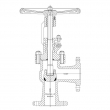 Angle Globe Valve