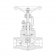 Forged Steel Globe Valve (SW/Threaded End)