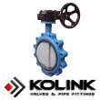 Resilient Seated Butterfly Valve (Lug Type)