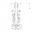 Forged Steel Pressure Seal Gate Valve