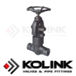 Forged Steel Globe Valve