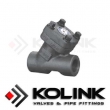 Forged Steel Y Check Valve